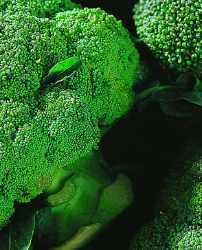 明吉農(nóng)產(chǎn)品配送,重慶農(nóng)產(chǎn)品配送,重慶土雞,重慶土鴨,重慶農(nóng)家樂(lè),蔬菜配送,重慶蔬菜配送,重慶食品配送,食品配送公司,重慶肉禽.重慶配送公司.重慶富民農(nóng)場(chǎng)